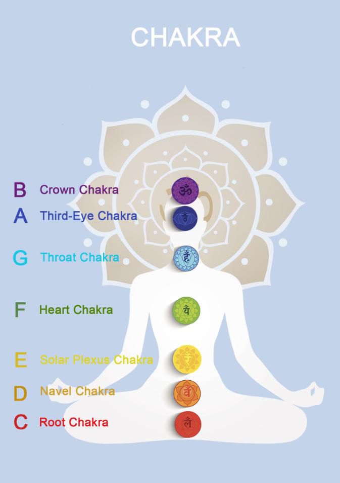 Cuenco de Cristal de Cuarzo 8″ 7 Chakras - Imagen 3